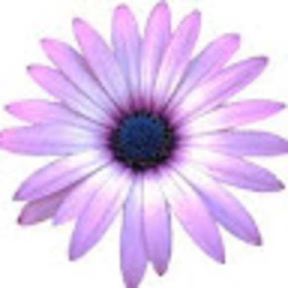 wende_west